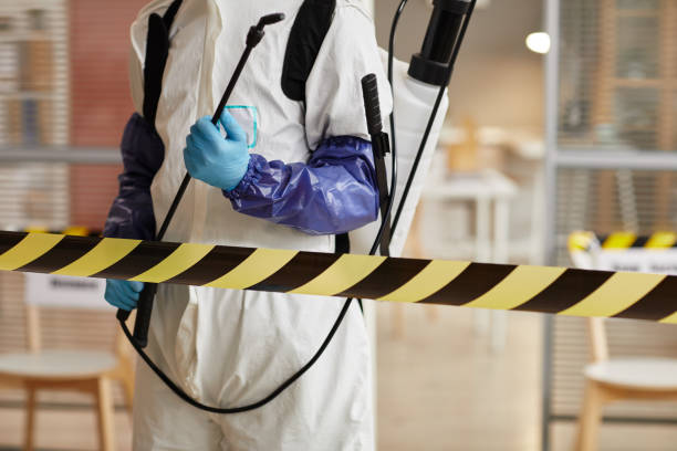 Professional Sewage Cleanup technician working in Plymouth, CA